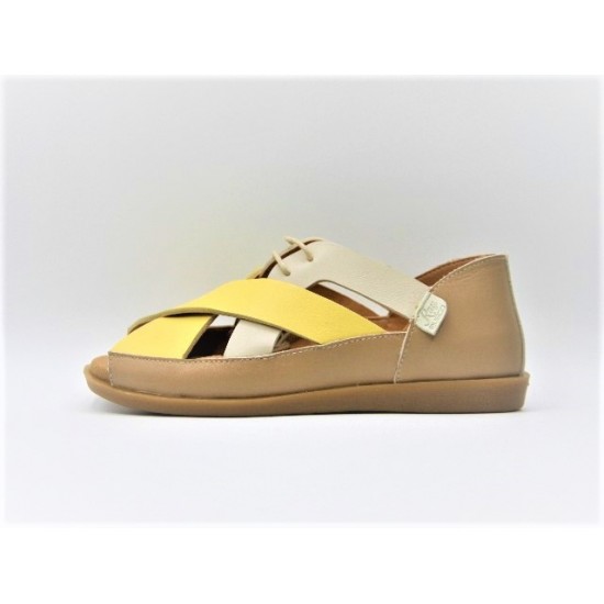 Cordón RAY MUSGO FAINA multicolor